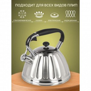 Чайник нержавеющая сталь, 3 л, со свистком, сатинированный, ручка бакелитовая, Daniks, индукция, GS-04611