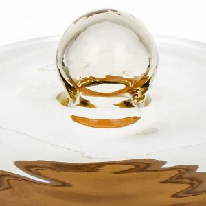 Тортница дерево, стекло, 2 предмета, 19.5х31 см, круглая, с крышкой, 31х31х19.5 см, Y4-6571