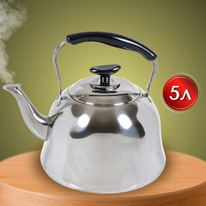 Чайник нержавеющая сталь, 5 л, со свистком, зеркальный, ручка металл, пластик, Daniks, GS-28224