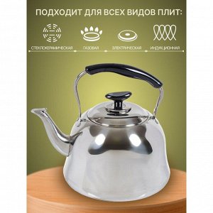 Чайник нержавеющая сталь, 5 л, со свистком, зеркальный, ручка металл, пластик, Daniks, GS-28224