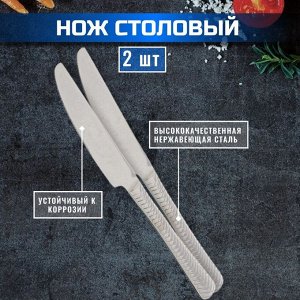 Нож нержавеющая сталь, 2 предмета, столовый, Daniks, Plait