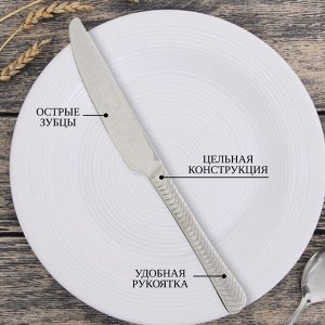 Нож нержавеющая сталь, 2 предмета, столовый, Daniks, Plait
