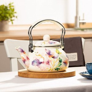 Чайник сталь, эмалированное покрытие, 2.5 л, Daniks, Iris, индукция