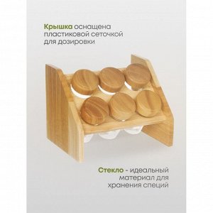 Набор для специй стекло, дерево, 6 шт, на подставке, бежевый, Y3-1139