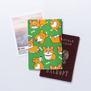 Обложка для паспорта "Паспорт хорошего мальчика"