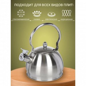 Чайник нержавеющая сталь, 2 л, со свистком, матовый, ручка металлическая, Daniks, GS-04314-2.0L/SMY-088, индукция