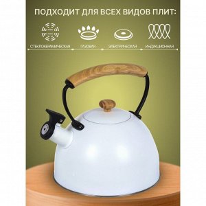 Чайник нержавеющая сталь, 2.5 л, со свистком, матовый, ручка деревянная, Daniks, индукция, белый, MSY-078W