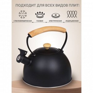 Чайник нержавеющая сталь, 2.5 л, со свистком, матовый, ручка металл, дерево, Daniks, черный, MSY-078B