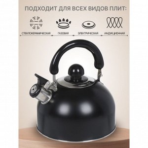 Чайник нержавеющая сталь, 2.5 л, со свистком, матовый, ручка металлическая, Daniks, индукция, черный, GS-04001