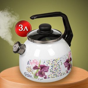 Чайник сталь, эмалированное покрытие, 3 л, со свистком, ручка консольная, СтальЭмаль, Мозаика, индукция, 4с209я