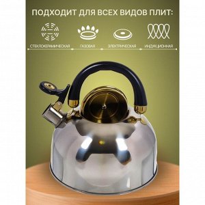 Чайник нержавеющая сталь, 2.7 л, со свистком, зеркальный, ручка бакелитовая, Daniks, M-001