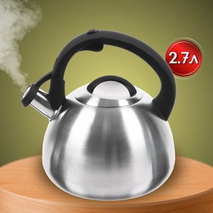 Чайник нержавеющая сталь, 2.7 л, со свистком, матовый, ручка бакелитовая, с силиконовым покрытием, Daniks, индукция, стальной, M-085