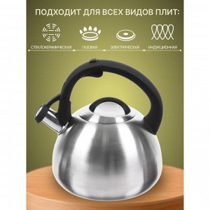 Чайник нержавеющая сталь, 2.7 л, со свистком, матовый, ручка бакелитовая, с силиконовым покрытием, Daniks, индукция, стальной, M-085