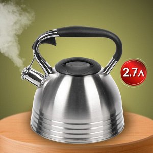 Чайник нержавеющая сталь, 2.7 л, со свистком, матовый, ручка с силиконовым покрытием, Daniks, индукция, PR-2201