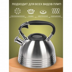 Чайник нержавеющая сталь, 2.7 л, со свистком, матовый, ручка с силиконовым покрытием, Daniks, индукция, PR-2201