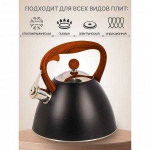 Чайник нержавеющая сталь, 2.7 л, со свистком, ручка бакелитовая, с силиконовым покрытием, Daniks, индукция, PR-2204