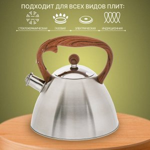 Чайник нержавеющая сталь, 2.7 л, со свистком, сатинированный, ручка бакелитовая, с силиконовым покрытием, Daniks, индукция, PR-2203