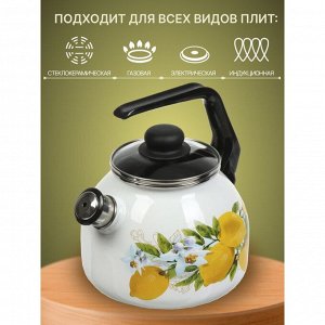 Чайник сталь, эмалированное покрытие, 3 л, со свистком, с пластиковой кнопкой, Сибирские товары, Лимоны, индукция, белый, С2717.3