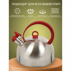 Чайник нержавеющая сталь, 2.8 л, со свистком, зеркальный, ручка с покрытием, нейлон, Daniks, индукция, GS-04003