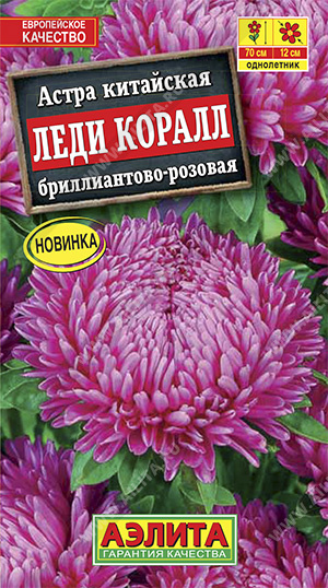 Астра Леди Коралл бриллиантово-розовая