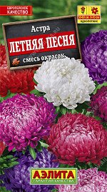 Астра Летняя песня, смесь окрасок