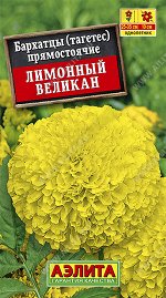 Бархатцы Лимонный великан прямостоячие (2023; 72.104.13)