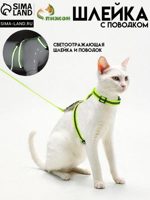 Комплект для кошек светоотражающий,ширина 1 см,шлейка 21-35 см,поводок 120 см, зелёный
