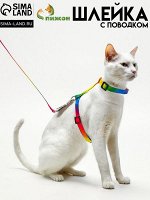 Комплект для кошек &quot;Радуга&quot;, ширина 1 см, ОШ 16,5-27, ОГ 21-35 см, поводок 120 см