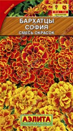 Бархатцы София, смесь окрасок