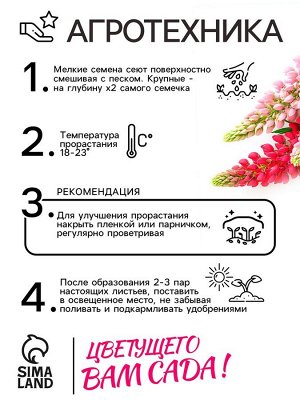 Семена цветов Люпин "Смесь Рассела", 0,5 г