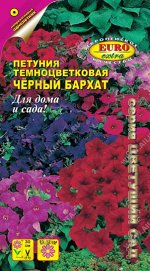 Петуния Черный бархат, смесь окрасок