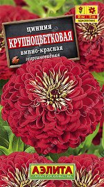 Цинния Крупноцветковая винно-красная (2022; 211.86.08)
