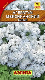 Агератум Мексиканский белый (2023; 60.01.25)