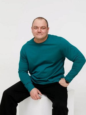 Пуловер мужской