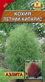 Кохия Летний кипарис (2024; 294.02.04)