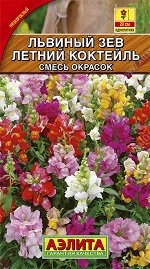 Львиный зев Летний коктейль, смесь окрасок (2023; 134.16.16)