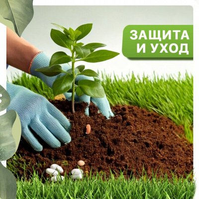 Нужная покупка Цветы, растения и горшки