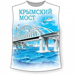 Хулиганка Крымсксий мост