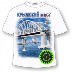 Мир Маек Футболка Крымский мост 918