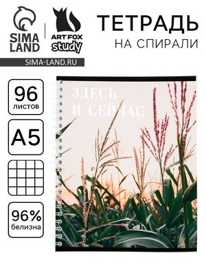 Тетрадь в клетку, 96 л., А5, на спирали, блок №1«Здесь и сейчас»