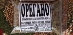 ОРЕГАНО