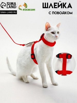 Комплект для кошек, ширина 1,5 см, ОШ 16,5-27 см, ОГ 21-35 см, поводок 120 см, красный
