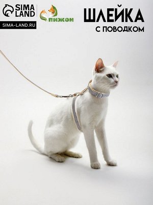 Комплект амуниции "Жаккард", поводок 120 х 1 см, серый