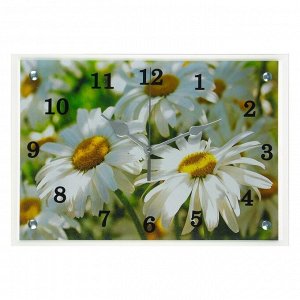 Часы настенные, серия: Цветы, "Полевые ромашки", 25х35 см, микс