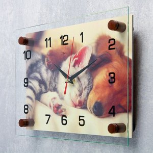 Часы настенные, серия: Животный мир, "Котёнок и собачка", 20х26 см  микс