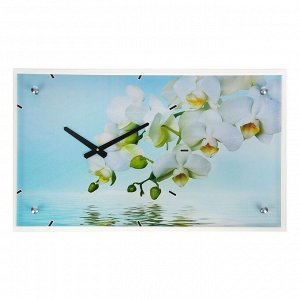 Часы настенные, серия: Цветы, "Белые цветы у воды", 35х60  см, в ассортименте