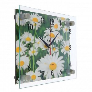Часы настенные, серия: Цветы, "Ромашки", 20х26  см, микс