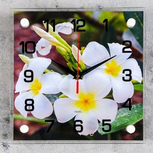 Часы настенные, серия: Цветы, "Белые цветки", 25х25 см, плавный ход, микс