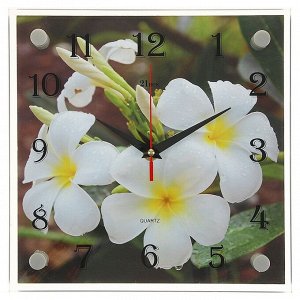 Часы настенные, серия: Цветы, "Белые цветки", 25х25 см, плавный ход, микс