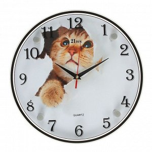 Часы настенные, серия: Животный мир, &quot;Кот&quot;, 30х30 см в ассортименте